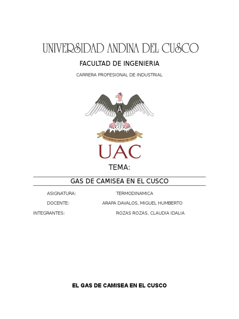 Gas de Camisea: Impacto en Cusco | PDF | Gas natural | Naturaleza