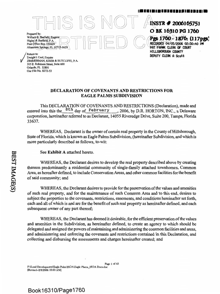 Eagle Palms HOA CC&R (Riverview, FL) PDF Easement Property