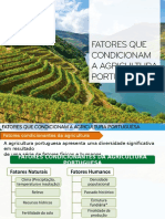 Fatores Cond. Agricult. Portug. II - 15-16