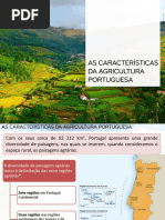 Agricultura Port. Carat. I - 15-16