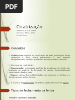 Cicatrização