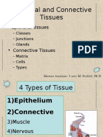 Lcture Notes - Tissues