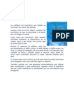 Texto Informativo Los Delfines