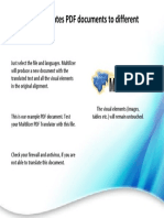 Multi Lizer 4 PDF