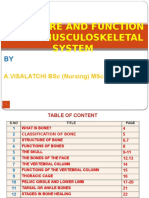 Structure and Function of The Musculoskeletal System