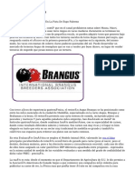 Article Brangus