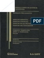 256324451 Pinto Maximos Precedentes 1