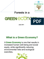 Forests Report Overview