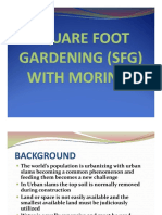 Square_Foot_Gardening_with_Moringa.pdf