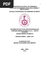 modelo de Informe Practicas Profesionales Apumayo...Final 3