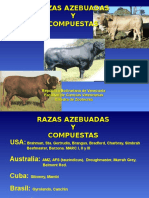 azebuadas.ppt