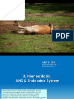 Lec 6 & 7 - Homeostasis-ANS & Endocrine 6&7 (1)