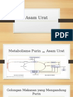 Makanan Asam Urat Dan DM