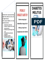 Leaflet Diabetes Mel It Us