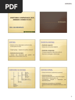 Anatomia Comparada Dos an. Dom.