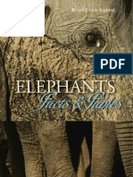 Life of Elephants