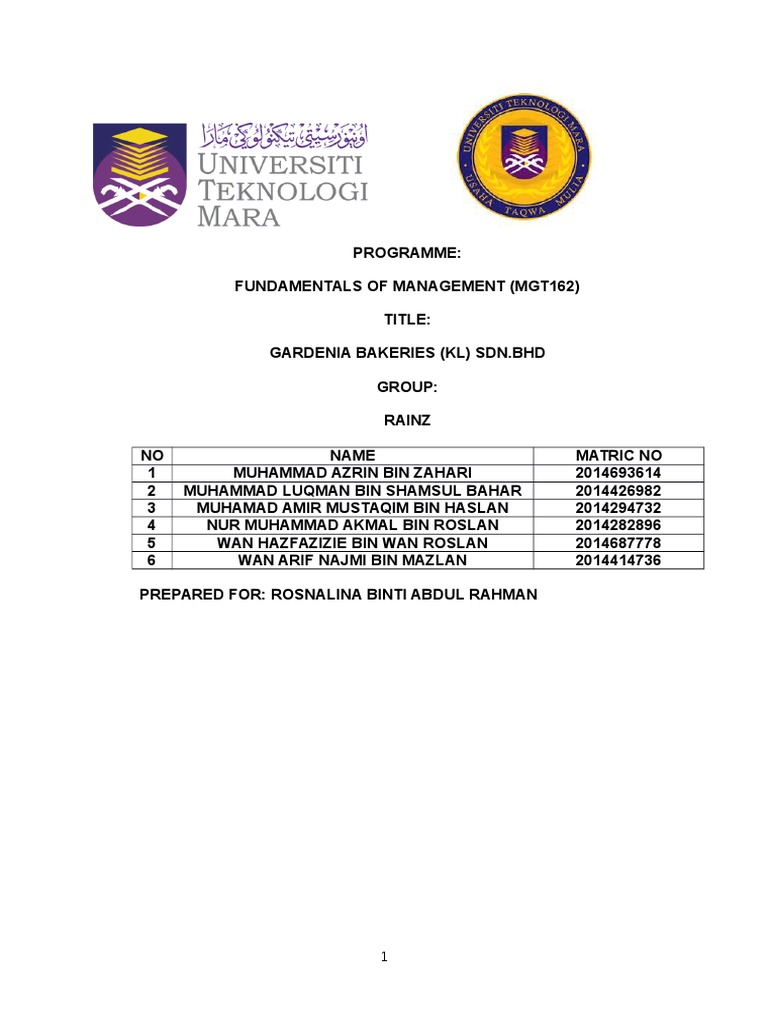 example individual assignment mgt 162