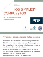 Epitelios Simples y Compuestos