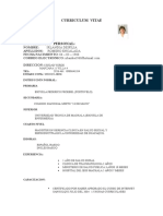 Curriculum Vitae Irlandia - Actualizado