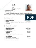 Fabrisio Rojas CV perfil informático