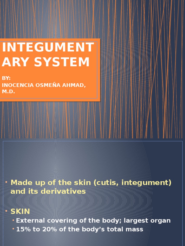 Integumentary System Overview | PDF | Skin | Integumentary System