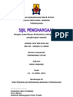 Sijil Penghargaan Permainan