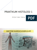 PRAKTIKUM HISTOLOGI 1