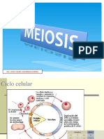 Meiosis