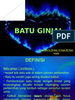 Penyebab Batu Ginjal