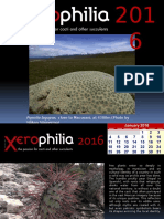 Xerophilia Calendar 2016 - 2