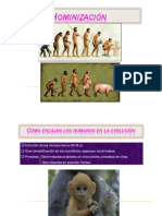 Hominización