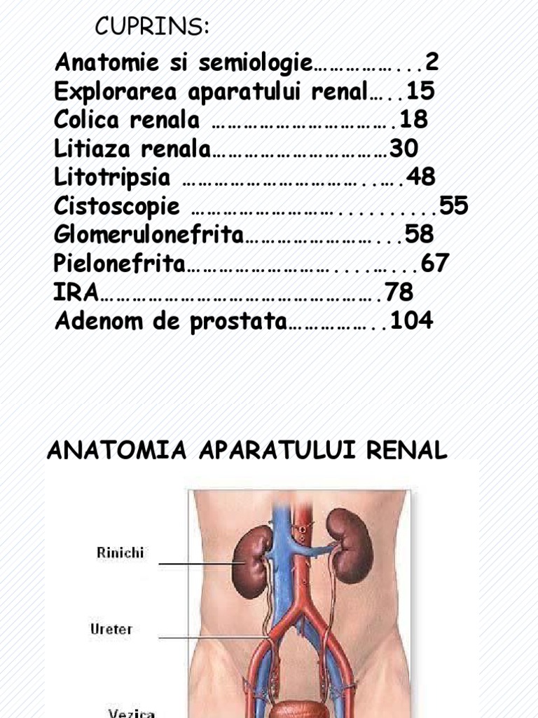 Prostatită în glomerulonefrită