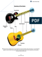 Anatomy of The Guitar