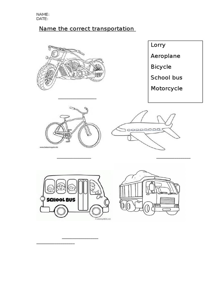 Identify Different Types of Transport | PDF