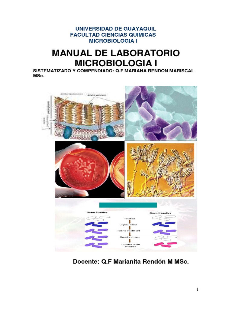 Manual de microbiologia essay 08 picture