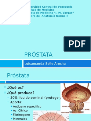 próstata anatomía pdf