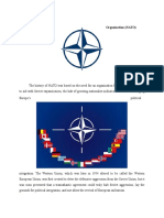 Nato Background Guide