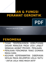 Peran & Fungsi Perawat Gerontik