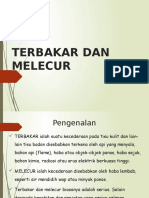 Terbakar Dan Melecur