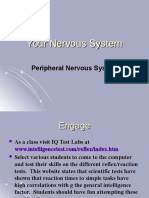 23 Biology 2-6-08 Nervous System 3 PNS