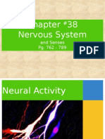  Nervous System