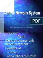 Central Nervous System