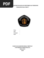 Download Laporan Praktikum Patologi Sistemik Dan Nekropsi by Nana SN294558226 doc pdf