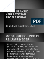 2 Model Praktik Keperawatan Professional