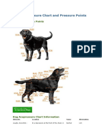 Dog Acupressure Chart and Pressure Points