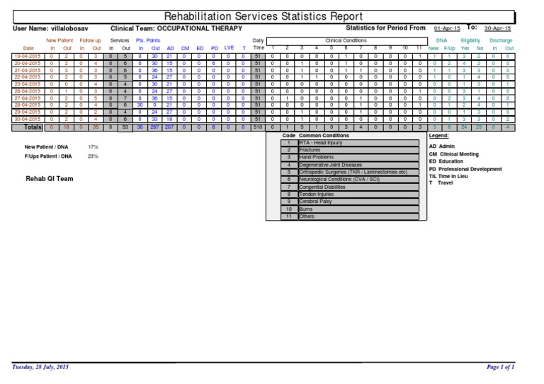 Occupational Therapy Rehab Stats Report | PDF | Finance & Money Management