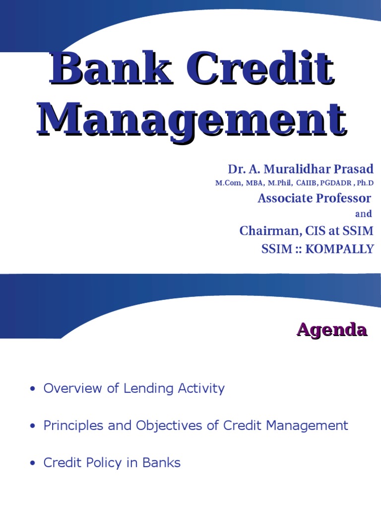 literature review on credit management in banks pdf