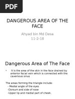 Danger Triangle of the Face Explained | PDF