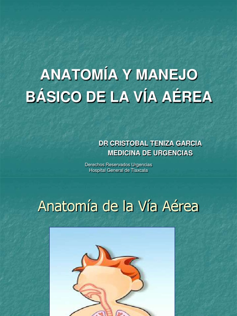 anatom-a-y-manejo-de-la-v-a-a-rea-pdf-nervio-vago-anatom-a