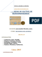 Estructura Informe 7